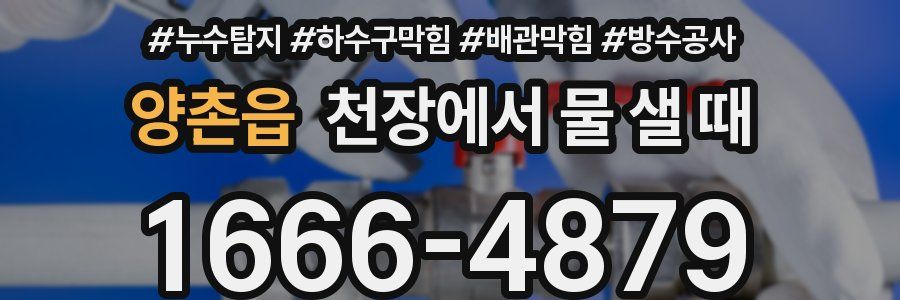 양촌읍 천장에서 물 샐 때
