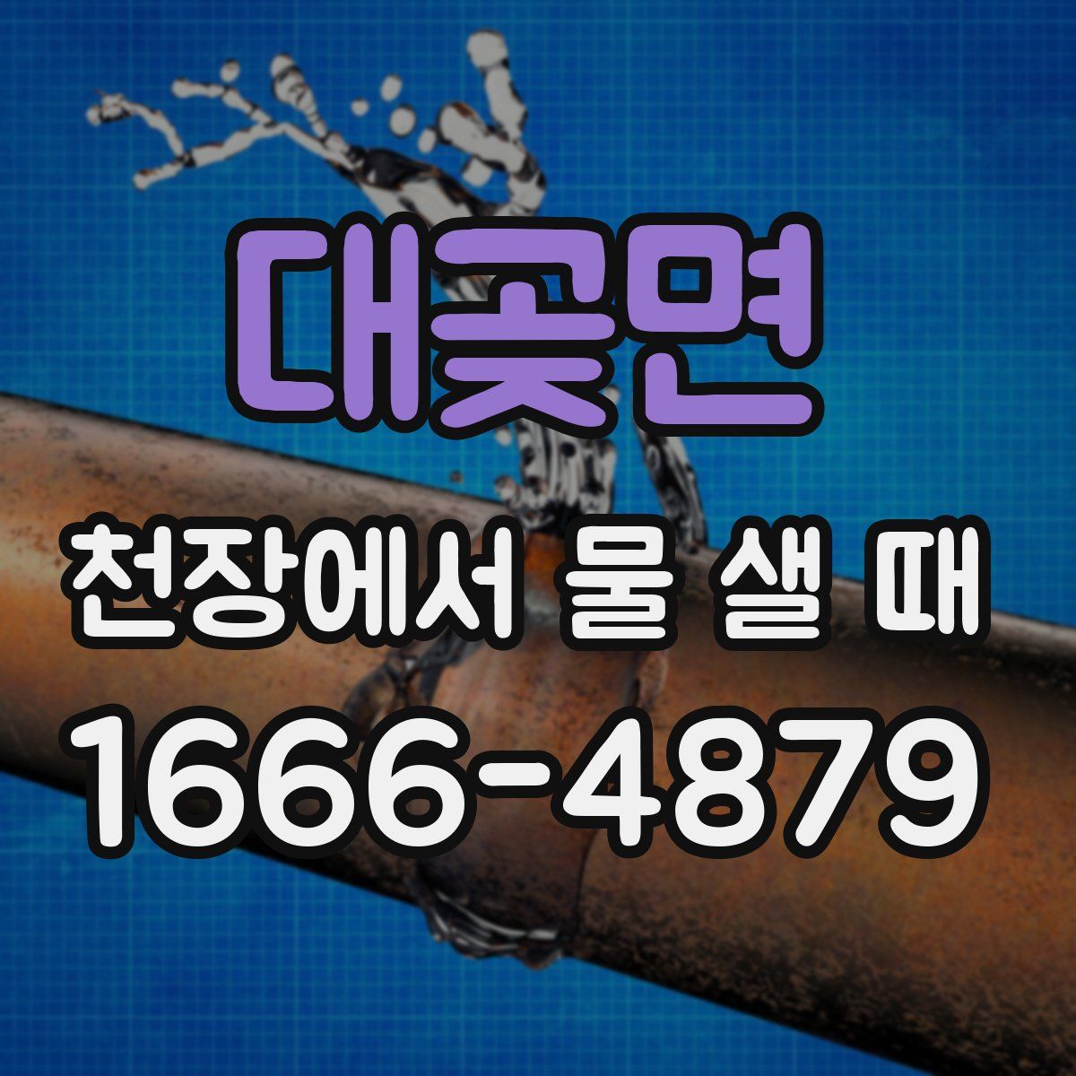 대곶면 천장에서 물 샐 때