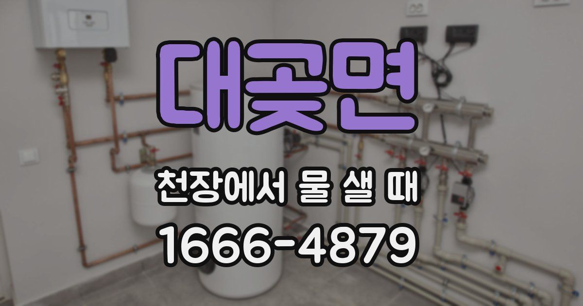 대곶면 천장에서 물 샐 때