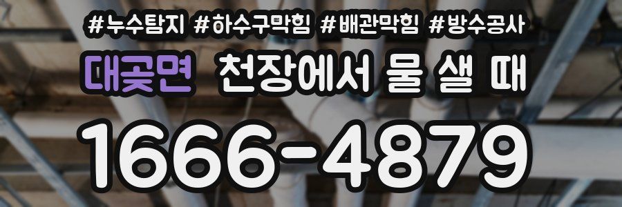 대곶면 천장에서 물 샐 때