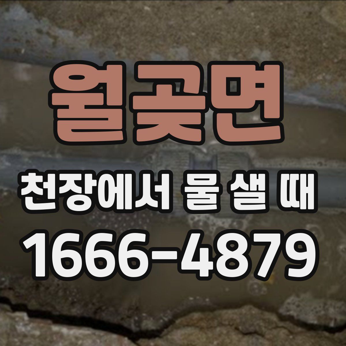 월곶면 천장에서 물 샐 때