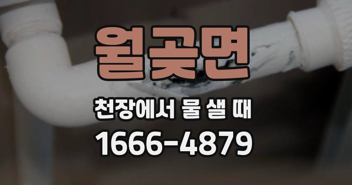 월곶면 천장에서 물 샐 때