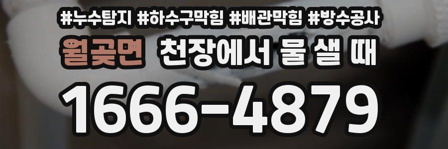 월곶면 천장에서 물 샐 때