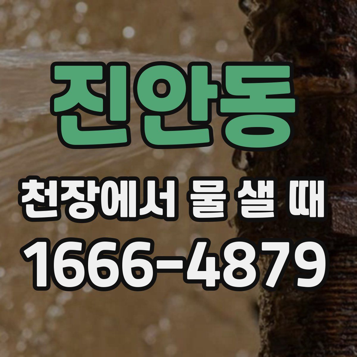 진안동 천장에서 물 샐 때
