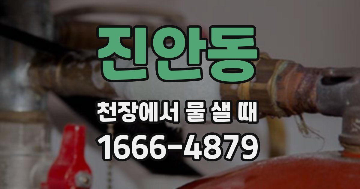 진안동 천장에서 물 샐 때