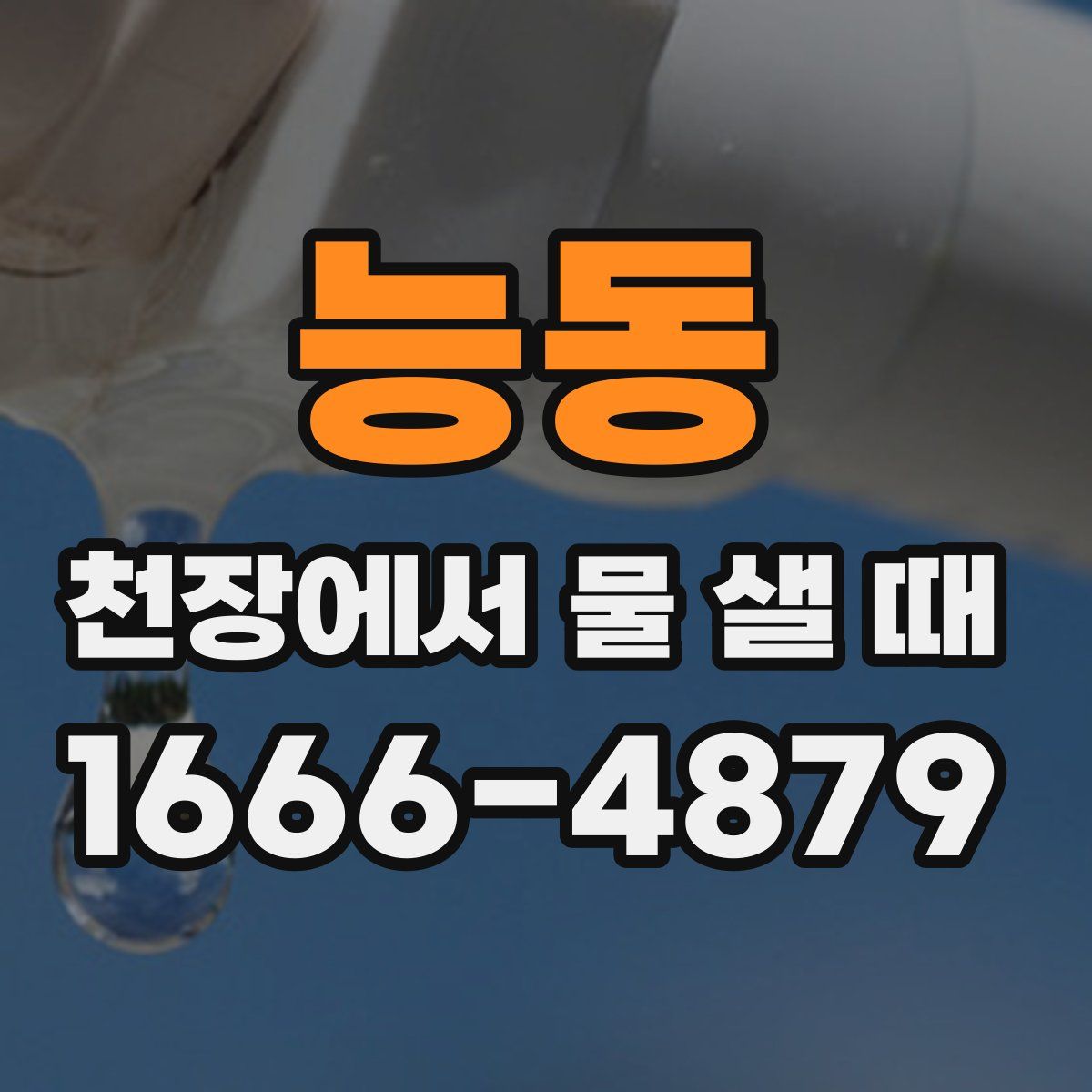 능동 천장에서 물 샐 때