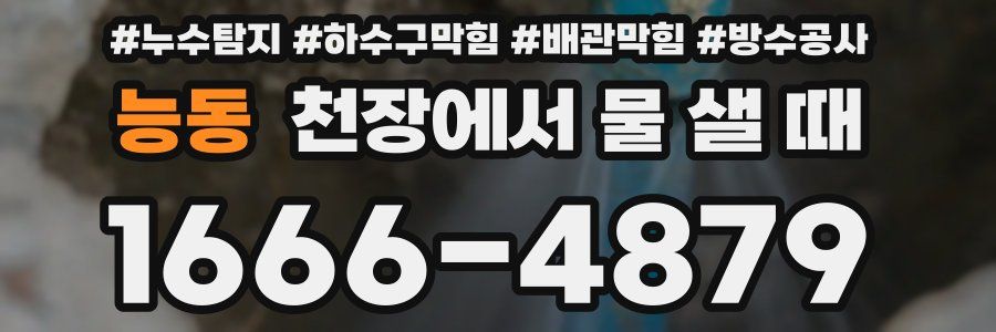 능동 천장에서 물 샐 때