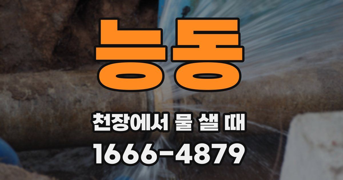 능동 천장에서 물 샐 때