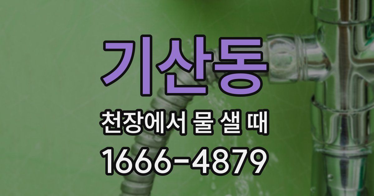 기산동 천장에서 물 샐 때