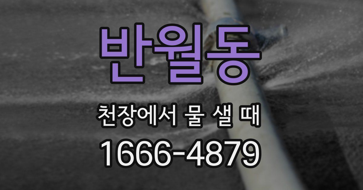 반월동 천장에서 물 샐 때