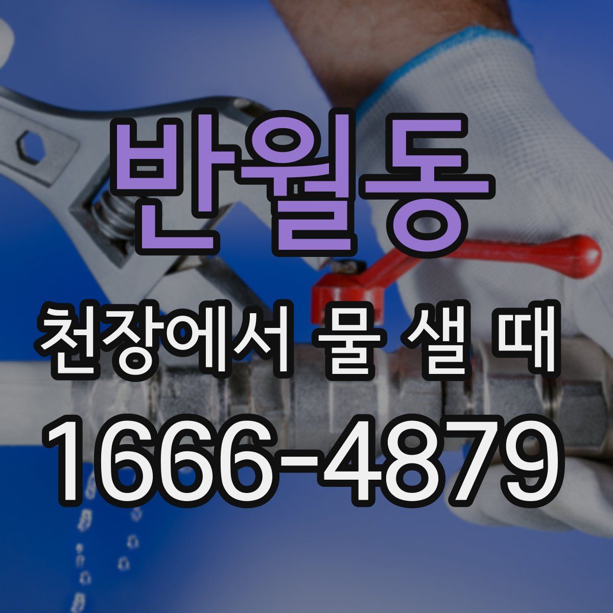 반월동 천장에서 물 샐 때