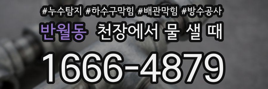 반월동 천장에서 물 샐 때