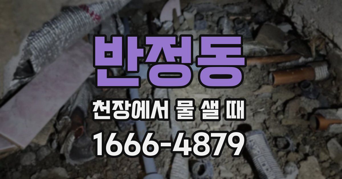 반정동 천장에서 물 샐 때