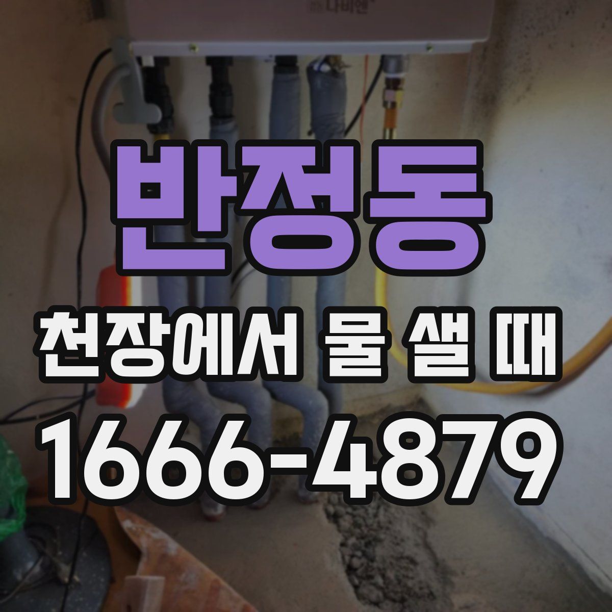 반정동 천장에서 물 샐 때