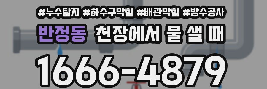 반정동 천장에서 물 샐 때