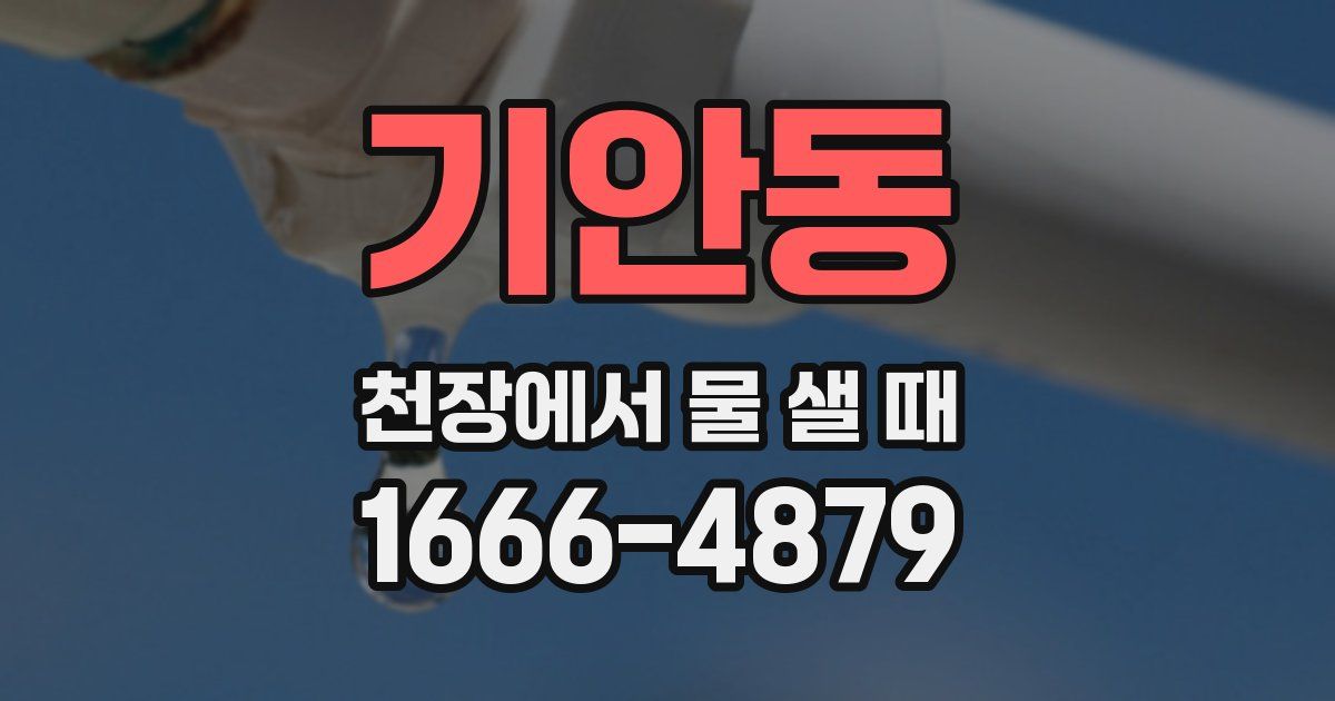 기안동 천장에서 물 샐 때