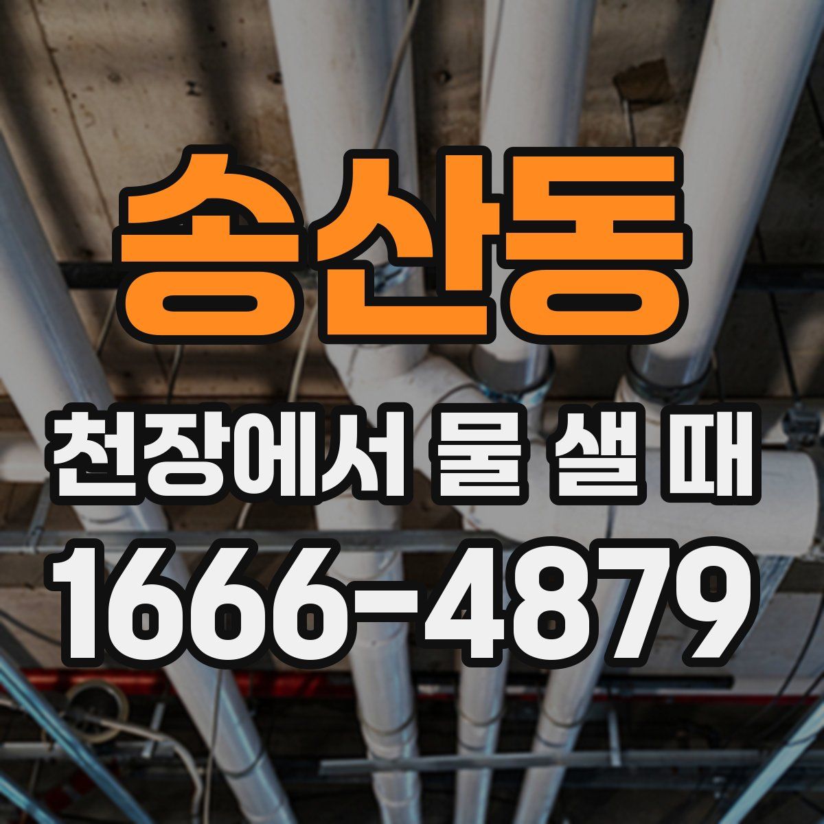 송산동 천장에서 물 샐 때