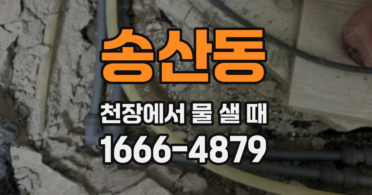 송산동 천장에서 물 샐 때