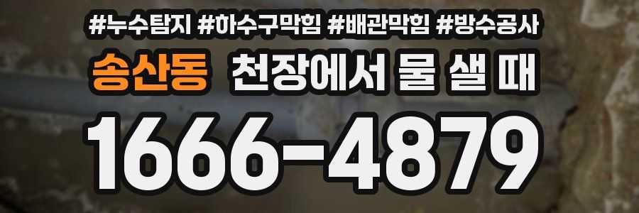 송산동 천장에서 물 샐 때