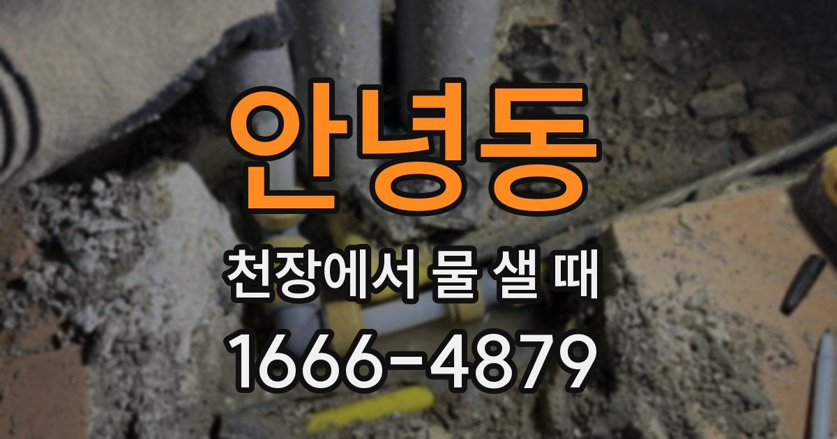 안녕동 천장에서 물 샐 때