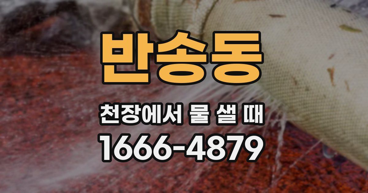 반송동 천장에서 물 샐 때