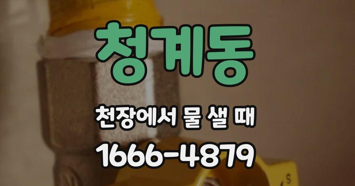 청계동 천장에서 물 샐 때