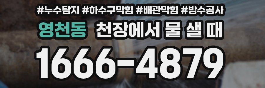영천동 천장에서 물 샐 때