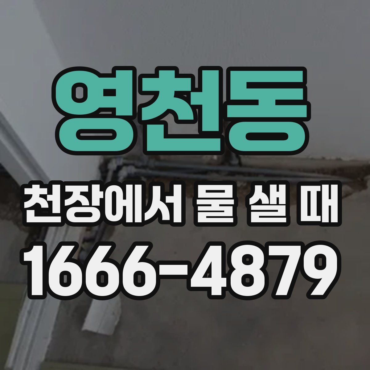 영천동 천장에서 물 샐 때