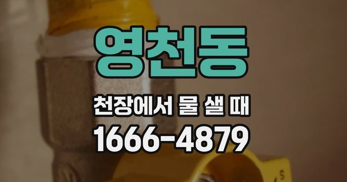 영천동 천장에서 물 샐 때