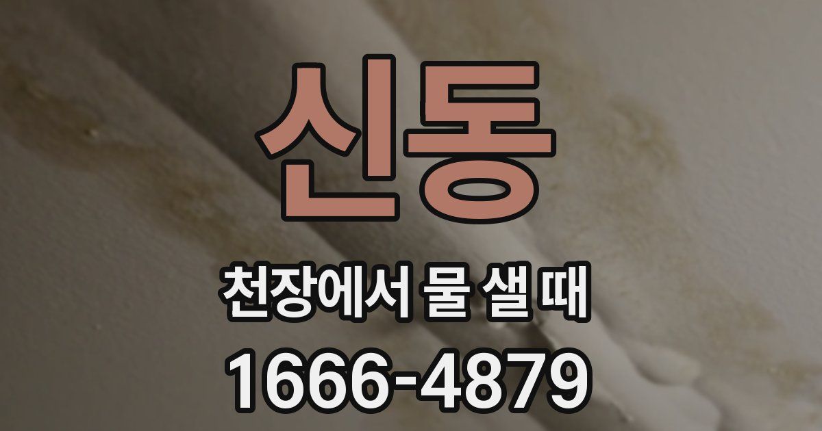 신동 천장에서 물 샐 때