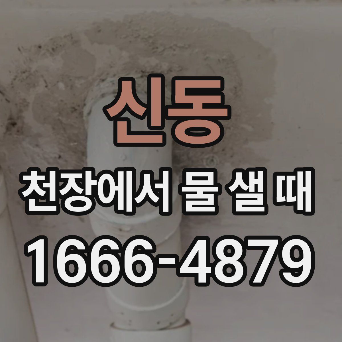 신동 천장에서 물 샐 때