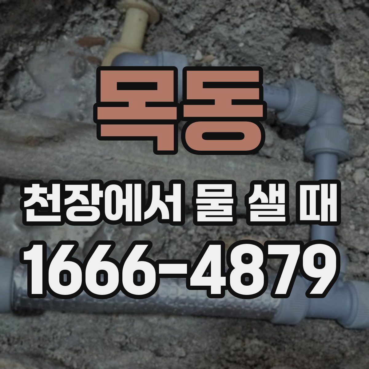 목동 천장에서 물 샐 때