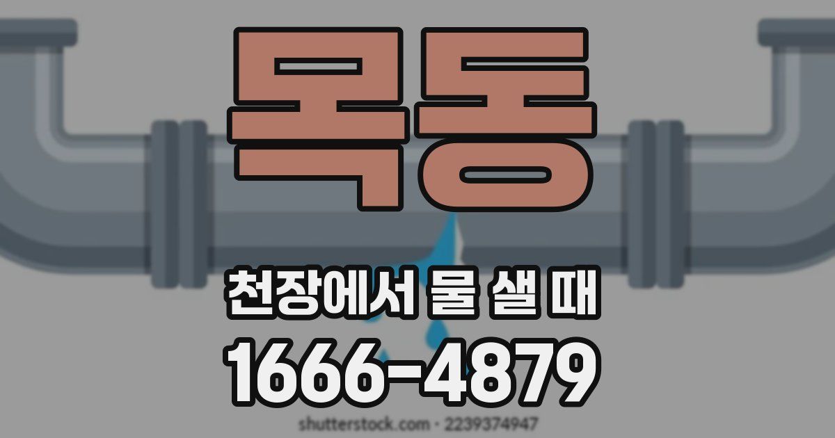 목동 천장에서 물 샐 때