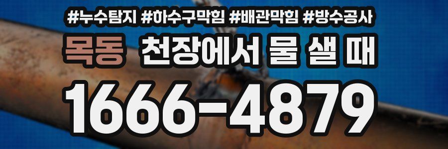 목동 천장에서 물 샐 때