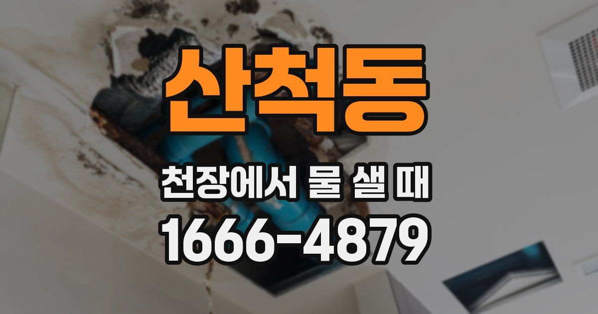 산척동 천장에서 물 샐 때