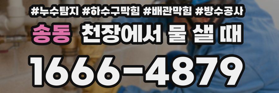 송동 천장에서 물 샐 때