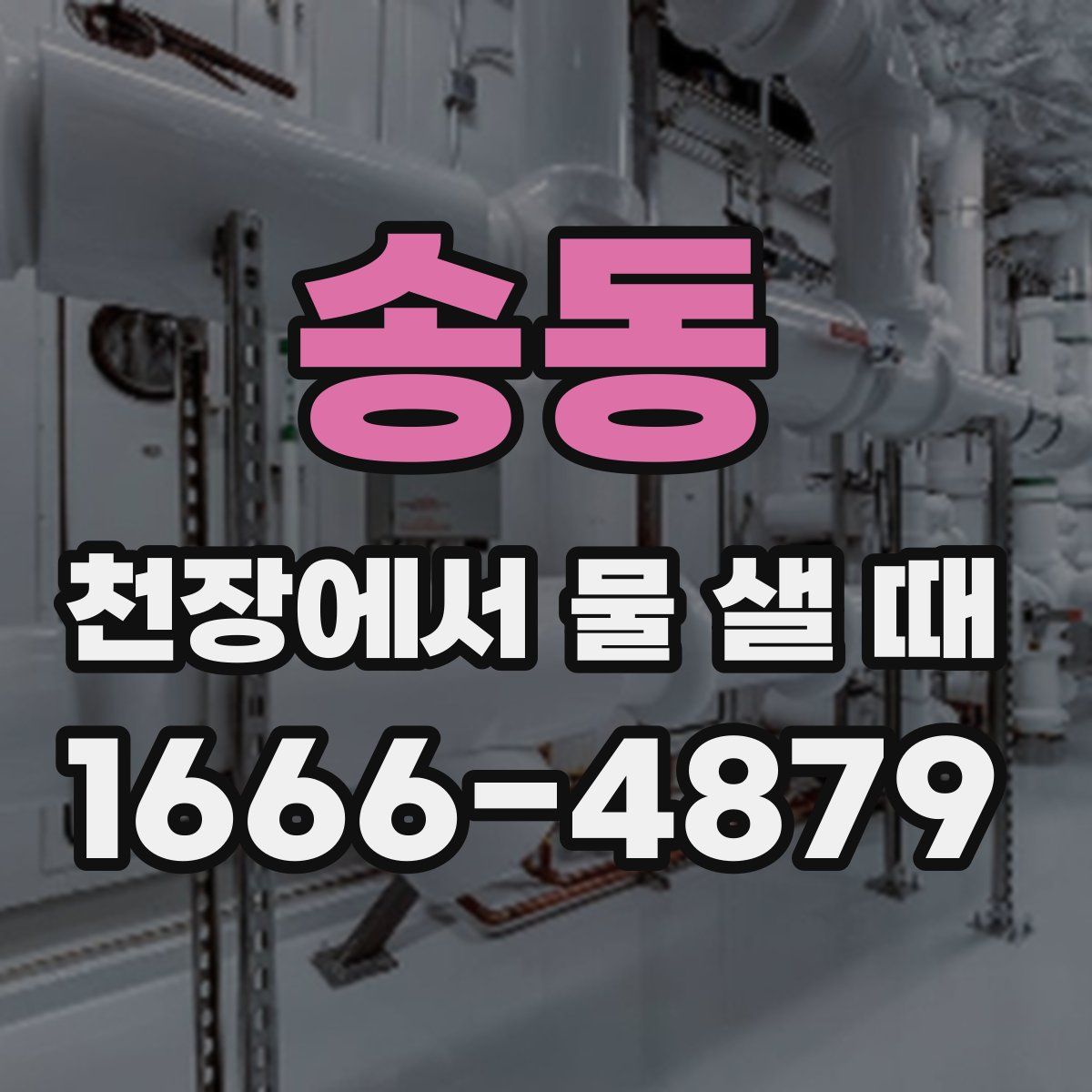 송동 천장에서 물 샐 때