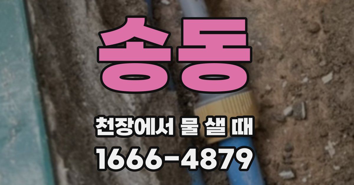 송동 천장에서 물 샐 때
