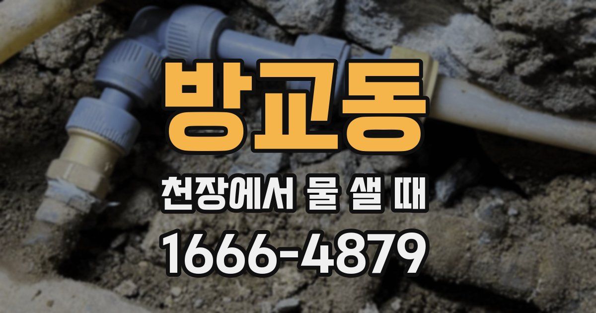 방교동 천장에서 물 샐 때
