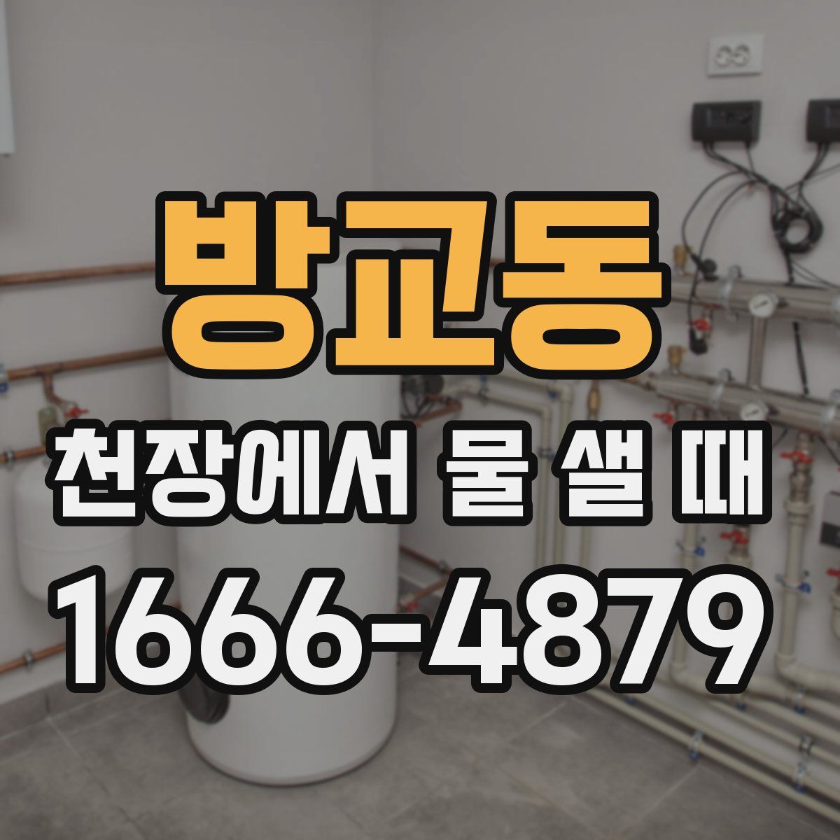 방교동 천장에서 물 샐 때