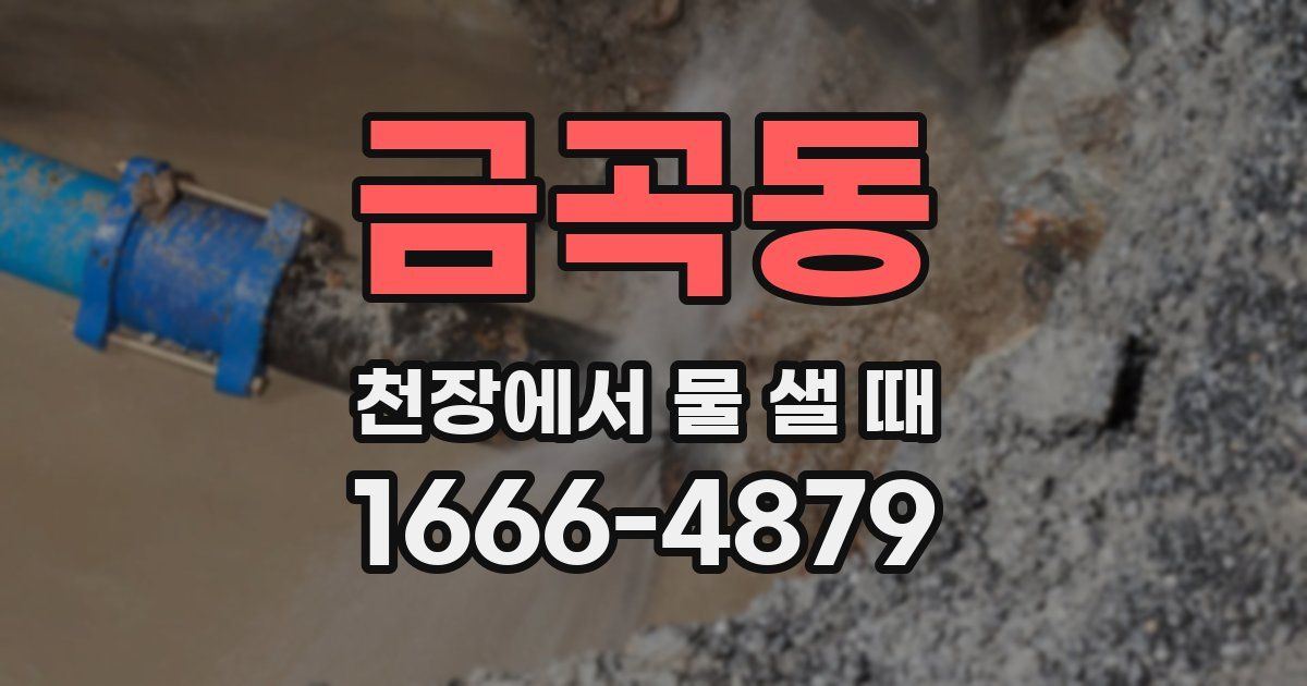 금곡동 천장에서 물 샐 때