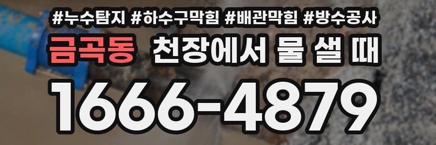 금곡동 천장에서 물 샐 때
