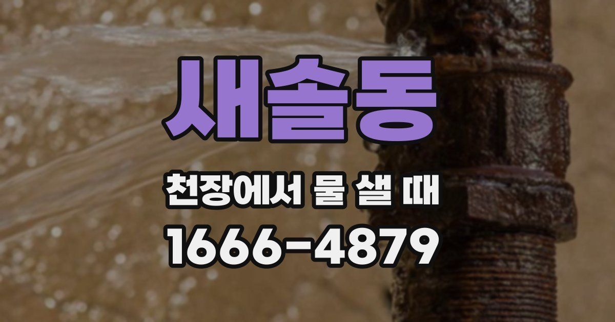 새솔동 천장에서 물 샐 때