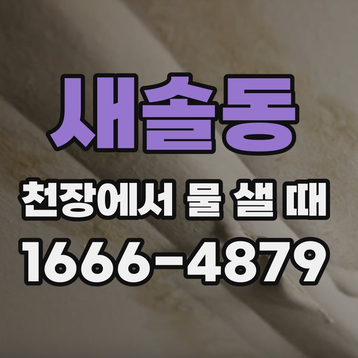 새솔동 천장에서 물 샐 때
