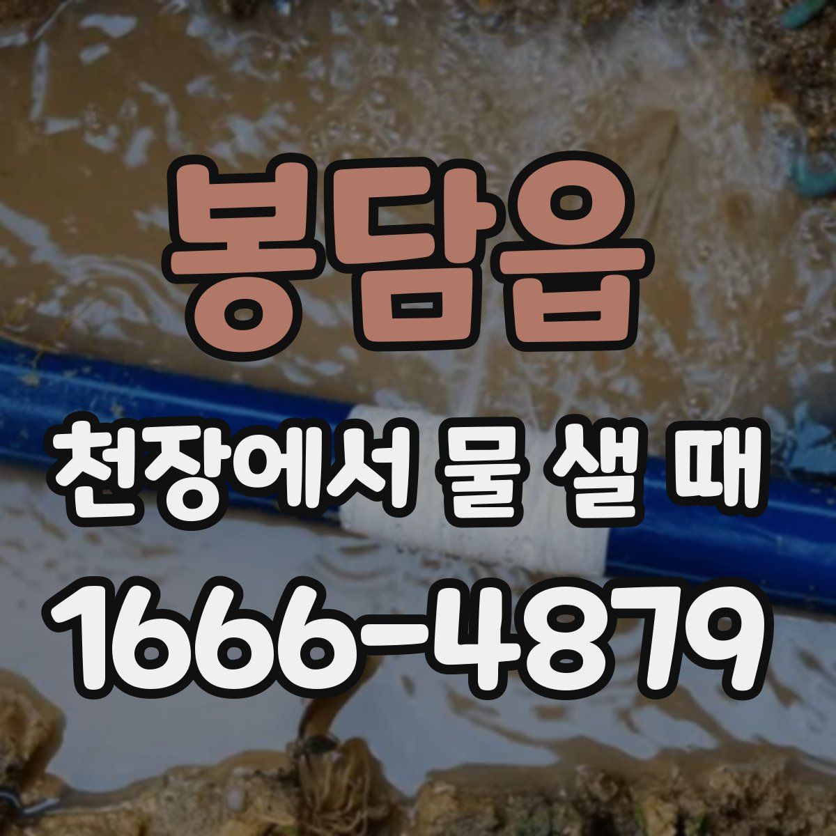 봉담읍 천장에서 물 샐 때