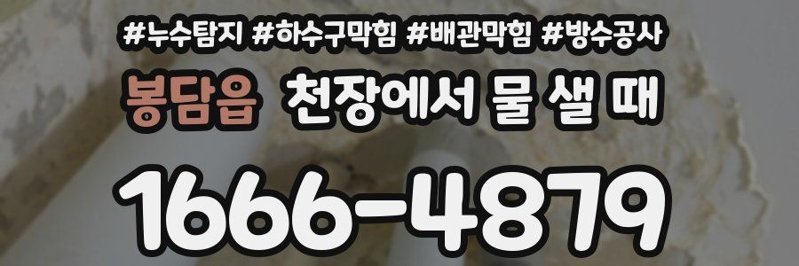 봉담읍 천장에서 물 샐 때