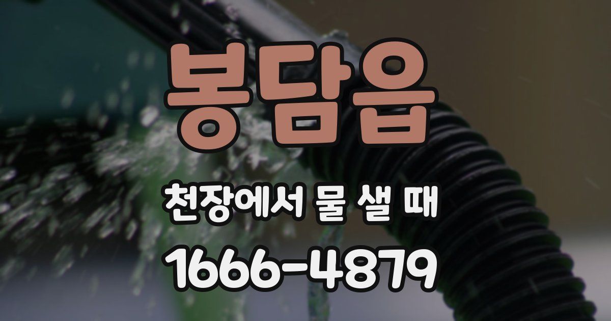 봉담읍 천장에서 물 샐 때