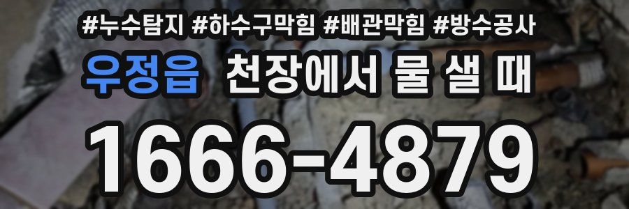 우정읍 천장에서 물 샐 때