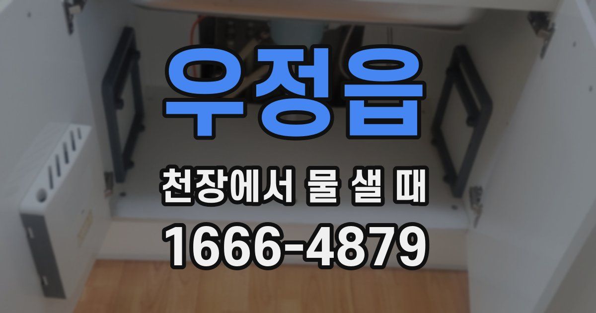 우정읍 천장에서 물 샐 때