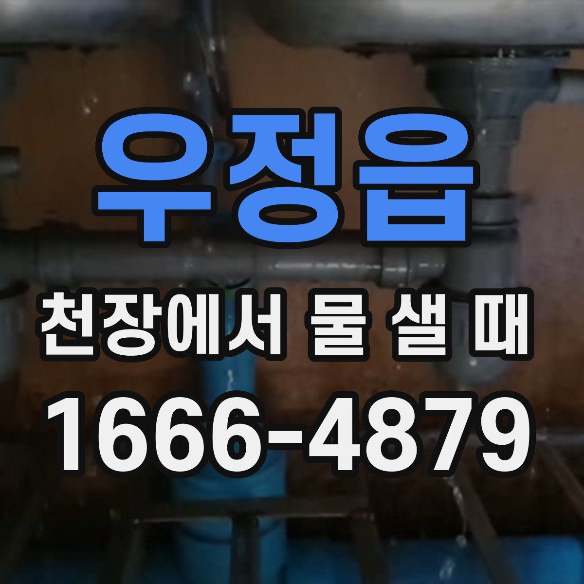 우정읍 천장에서 물 샐 때